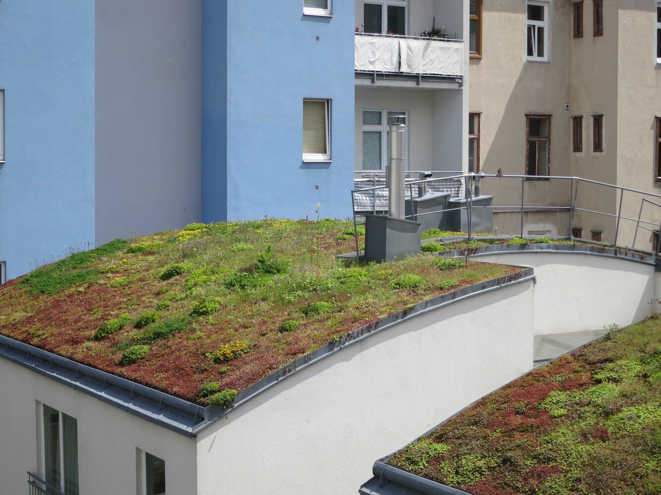 Urbanes Gebäude mit Runddach und extensiver Dachbegrünung.