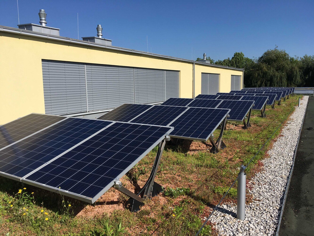 Begrünung und Solar sind eine sinnvolle Kombination.