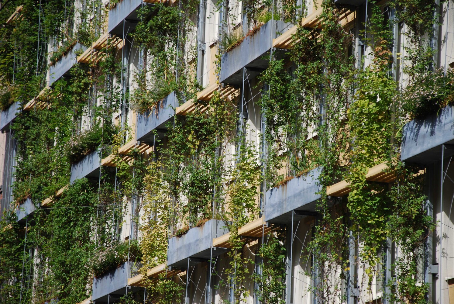Die fassadengebundene Begrünung mit Trögen und Kletterpflanzen bedeckt rund 990 Quadratmeter Fassade der Zentrale der Abteilung MA31 Wiener Wasser. Die Bewässerung erfolgt über ein automatisches System mit Sensoren.