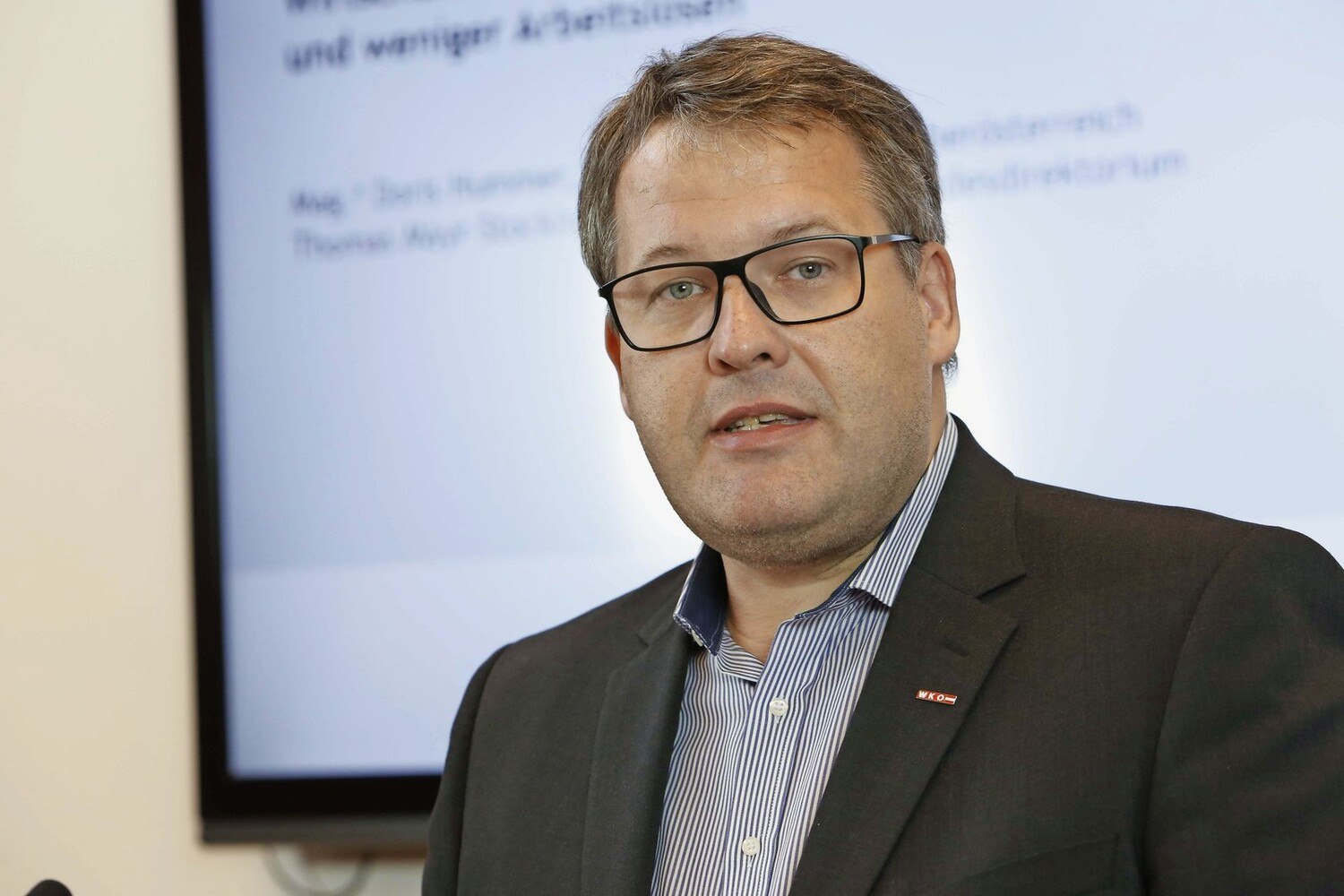 Thomas Mayr-Stockinger, Wirtesprecher OÖ
