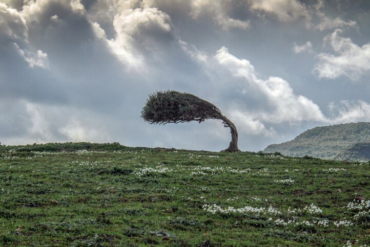 Resilienz: Buzzword oder Kernkompetenz?