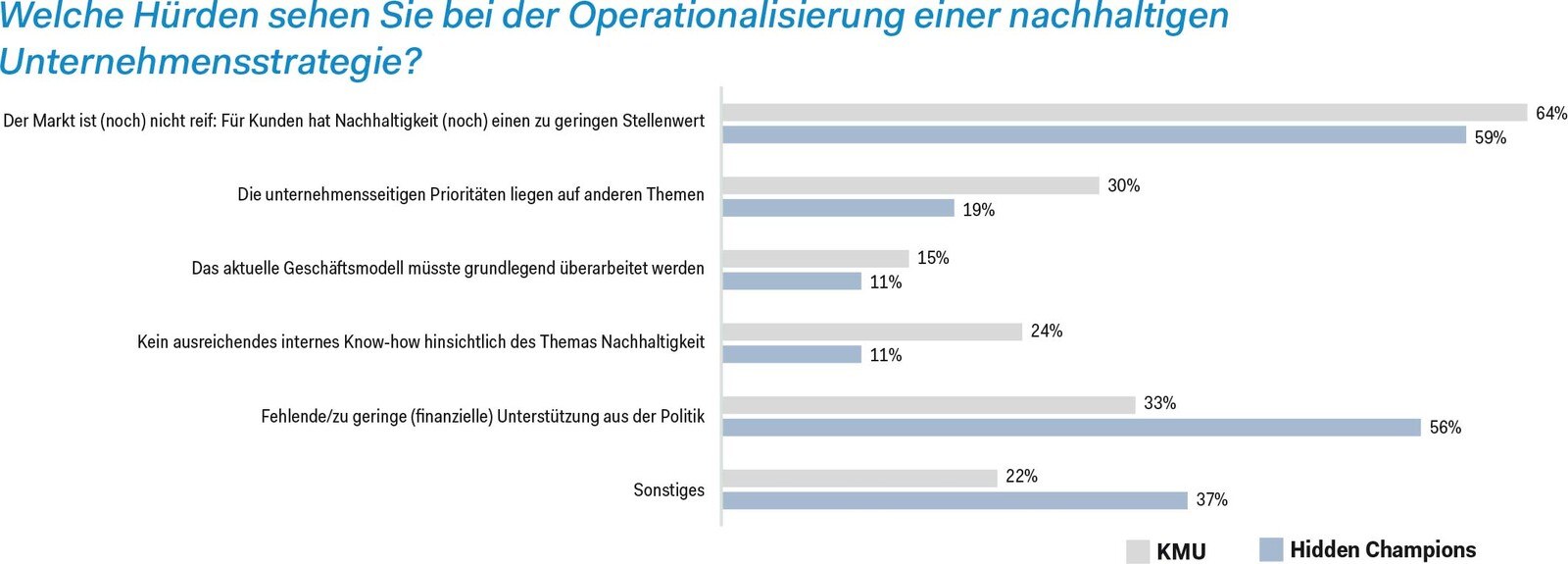 Welche Hürden sehen Sie bei der Operationalisierung einer nachhaltigen Unternehmensstrategie?