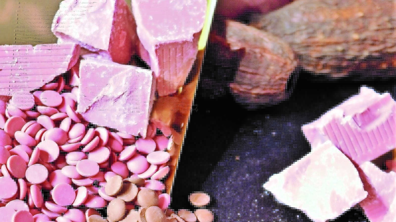 © Roland Graf
Nicht die Farbe, sondern die Säure macht „Ruby“-Schokolade zum Pairing-Tipp.
Pairing