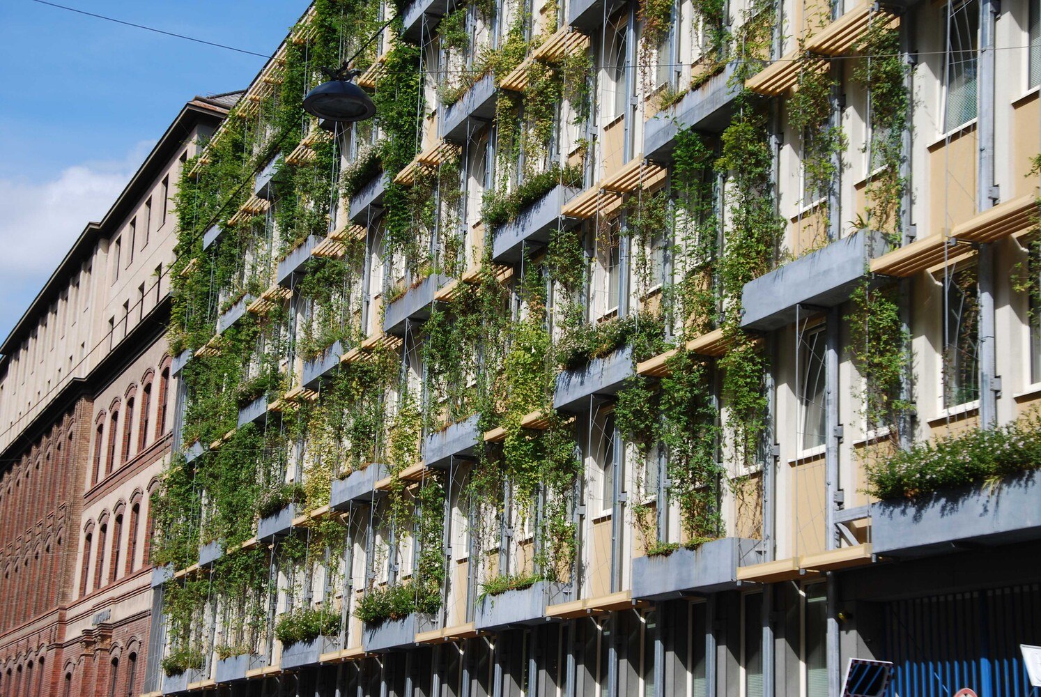 Bauwerksbegrünungskonzepte werden immer mehr Bestandteil von Renovierungs- und Sanierungsmaßnahmen, besonders im urbanen Raum.