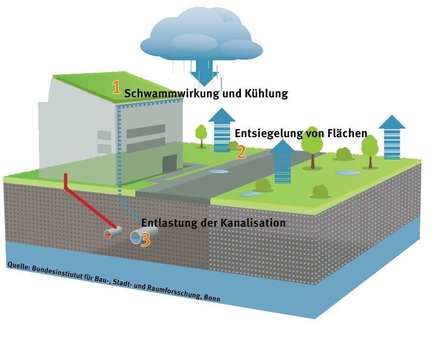 Ein Retentionsdach speichert Wasser wie ein Schwamm, erhöht die Verdunstung und führt das Wasser in den natürlichen Kreislauf zurück, was zur Kühlung beiträgt. Es schützt vor Überhitzung, unterstützt Flora und Fauna und entlastet die Kanalisation durch verzögerten Wasserabfluss.
