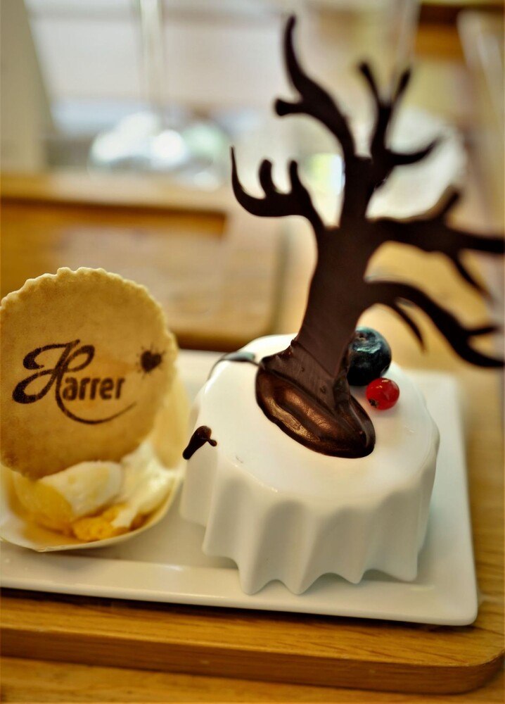 © Roland Graf
Aus der Nähe betrachtet: Der Schokobaum für den „Paradiesgarten“ wächst bei der „Chocolaterie Harrer“ von Tonis Bruder.
Harrer