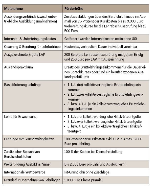 Infografik Förderungen