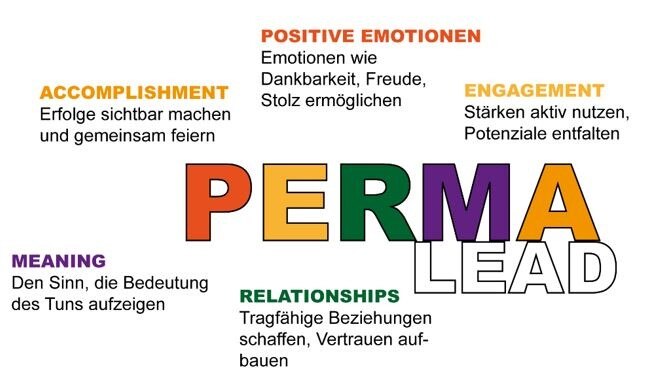 Funktionen von Perma Lead