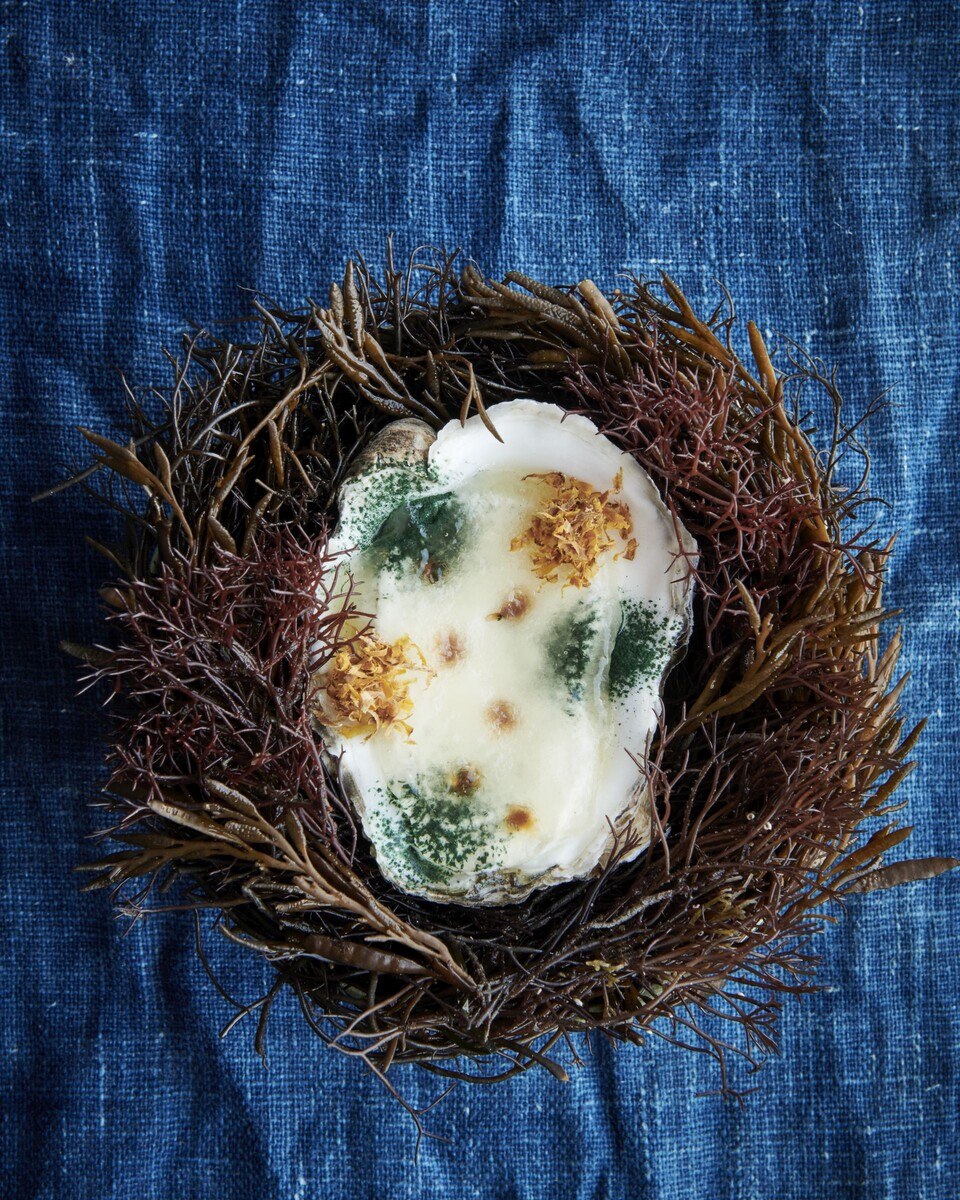 Amazake Oyster