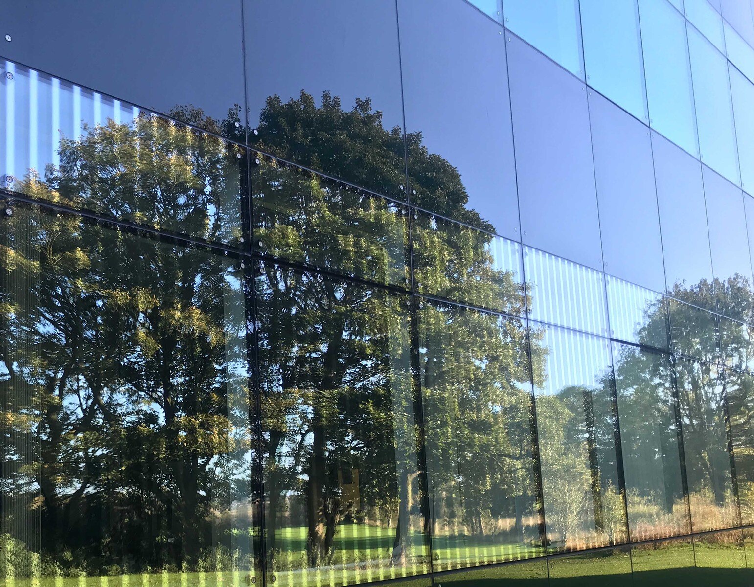 Das Vogeschutzglas "Pilkington Avisafe" in der Außenansicht.