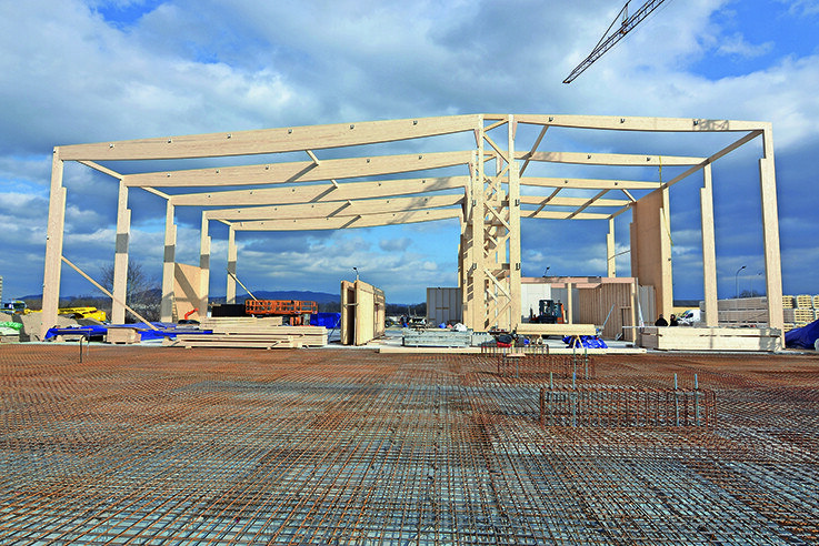 Hallenhohe Holzrahmenbauwände werden verbaut