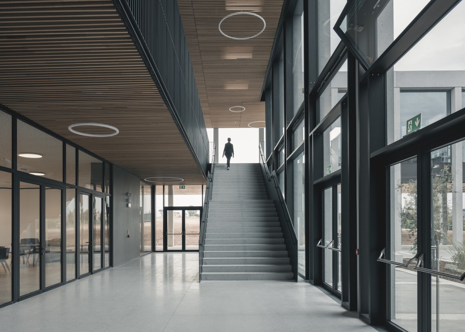 CuBo am Campus Bio-Medico