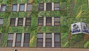 Eine Projektstudie zur Begrünung der Fassade des Uniqa-Hauses in der Grazer Annenstraße soll schon bald Realität werden.