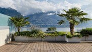 Als Terrassenbelag voll im Trend, weil extrem beständig und lang­lebig: Bambus