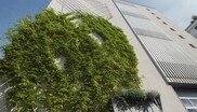 Begrünte Fassade: Trend zur Nachhaltigkeit.