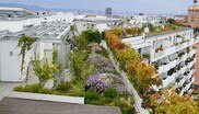 Biotop City am Wienerberg ist Vorreiterin für eine klimaresiliente, grüne und naturinklusive Stadt, die ihren Bewohner*innen leistbare und hohe Lebensqualität bietet.