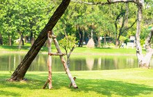 © jaturonoofer iStock Getty Images Plus Baum mit Stütze