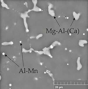 WAM Probenträger aus Magnesiumlegierung, Mikrostruktur der Mg-Al-Ca-Mn-Legierung