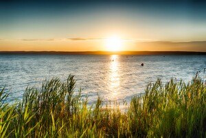 Blick auf den Neusiedler See