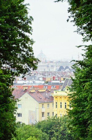 Blick auf die Dächer Wens