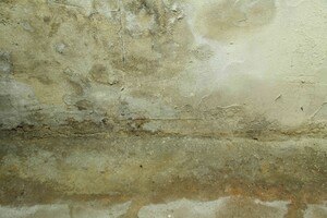 feuchte Kellerwand