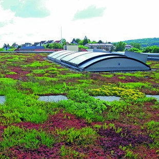 Am Flachdach kann Niederschlagswasser in sehr großen Umfang zurückgehalten und sukzessive und gesteuert an die Regenwasserkanalisation oder Versickerungsflächen weitergeleitet werden. 