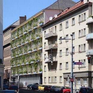 Blick von der Straßenecke auf die begrünte Fassade des Bürohauses der MA31, Wiener Wasser, in Wien.