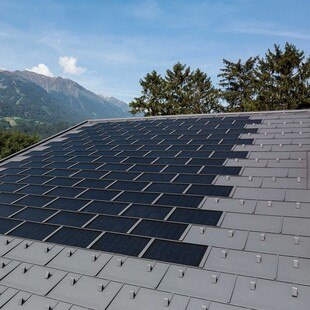 Wie viele Bäume kompensieren ein Prefa-Dach? Prefa hat seine erste Nachhaltigkeitsbroschüre veröffentlicht.