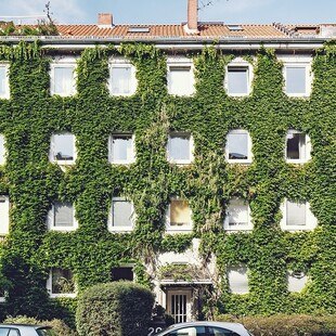 Vier-stöckiges Wohnhaus mit Pflanzen auf der Fassade