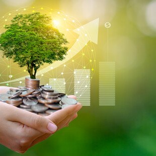 © sarayut/istock/gettyimagesplus Baum und Geldmünzen