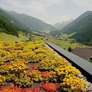 Aktuell gibt es Diskussionen um mögliche Ausschwemmungen umweltbelastender Stoffe aus Dachbahnen. Dachmaterialhersteller arbeiten an Verbesserungen, und es gibt konstruktive Gespräche zwischen Interessenvertretungen und dem Abwasserverband.