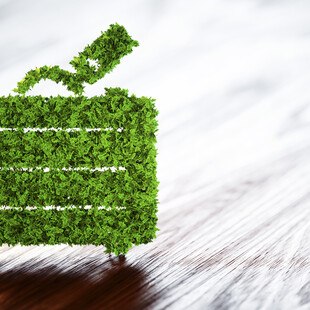 © Petmal / iStock / Getty Images Plus / Getty Images grün dienstreisen