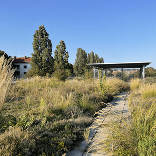 Bauwerksbegrünungen sind integrale Bestandteile zur Gebäudeoptimierung, zur Energieeinsparung und zur Förderung der Biodiversität.