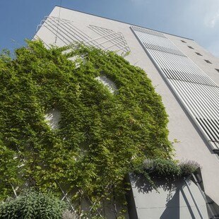 Begrünte Fassade: Trend zur Nachhaltigkeit.