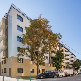 Mehldorfer Fassade in der Brigittenau.