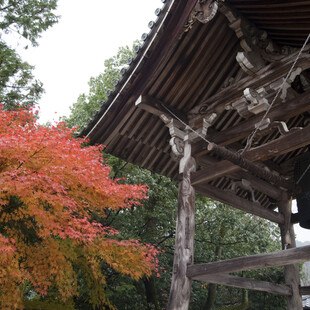 © edoyahiro iStock Getty Images Plus Japanischer Schrein