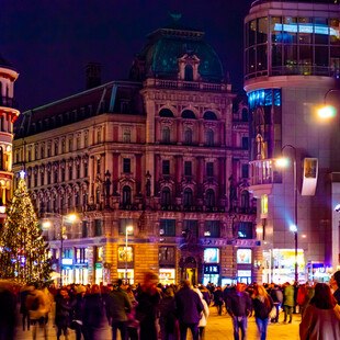Weihnachtszeit. Wien. Die Menschen gehen um den Platz herum, in der Mitte des quadratischen Weihnachtsbaums. Schöne antike Architektur. Kathedrale im gotischen Stil. Eine große Anzahl von Tourist*innen