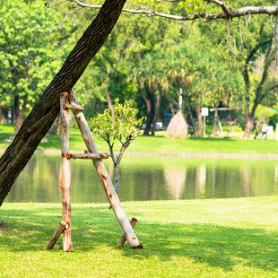 © jaturonoofer iStock Getty Images Plus Baum mit Stütze