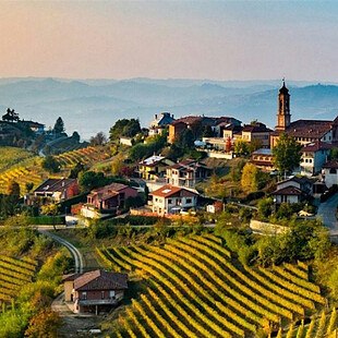 © Wein&Kultur KG Barolo